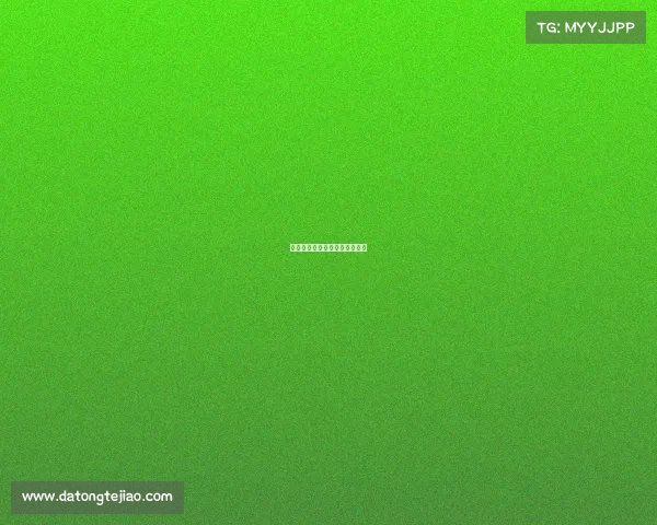 哪里可以看赛车比赛的完整视频